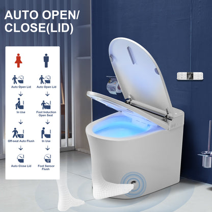 ZMJH 171 Smart toilet