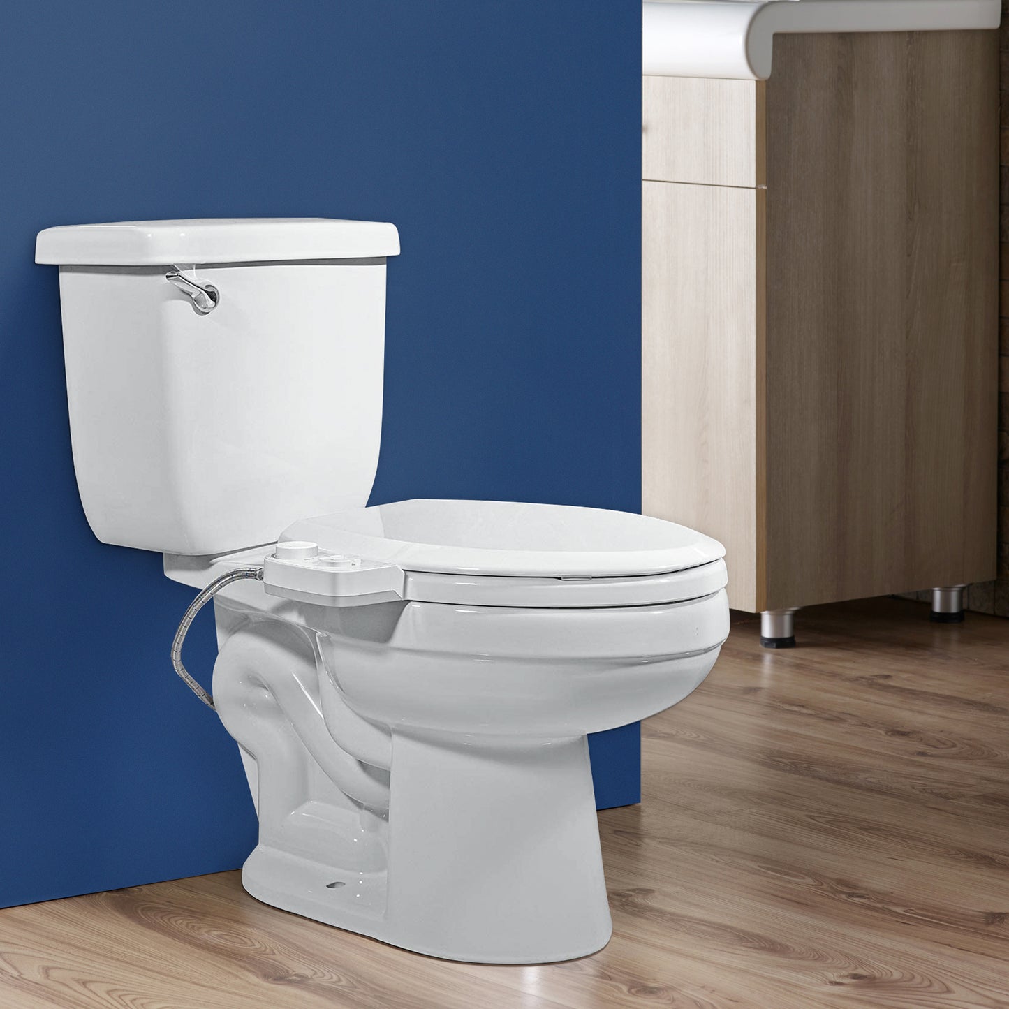 ZMJH Bidet Toilet Seat，Fits Elongated Toilets,  S001-B1